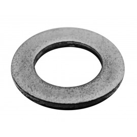 Flat Washer - for RIDER Type Autoscrubbers