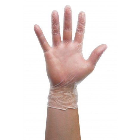 Extra-large Vinyl Gloves - Latex Free - Clear - Powder Free - Pack of 100