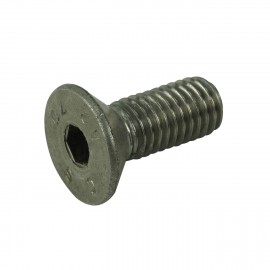 SCREW FOR AUTOSCRUBBER WHEEL - GHIBLI GH45M55