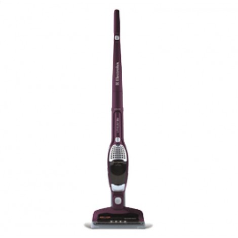 Electrolux Ergo Rapido Brushroll Clean Ion