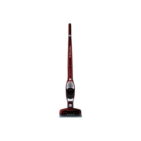 Electrolux ErgoRapido Brushroll Clean