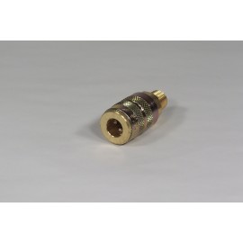 Brass Coupler B22 for A19 (F)