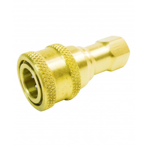 Brass Coupler Bh1-60 (F) for A20