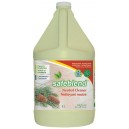 Concentrated Neutral Cleaner - Pine Oil - 1.06 gal (4 L) - Safeblend NCPO G04