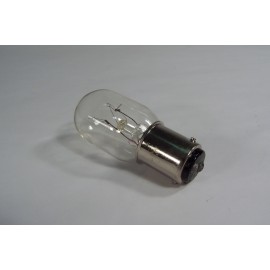 25 W ELECTRIC BULB