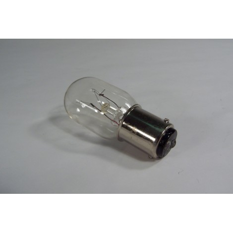 25 W ELECTRIC BULB