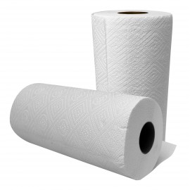 2-Ply Paper Towels - Pack of 12 Rolls, 160 Sheets per Roll