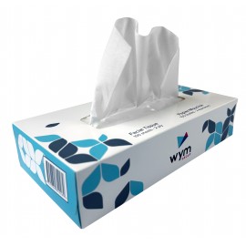 2-Ply Facial Tissues - Pack of 30 Boxes, 100 Tissues per Box