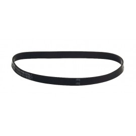 FLAT BELT - ROYAL ROOM MATE STYLE 7
