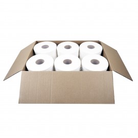 TMG-750 PAPIER HYGIENIQUE 2.4'' 12 RLX / 750'  2 P