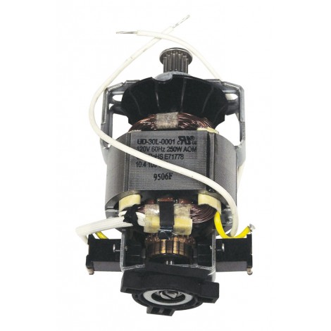 Complete Motor for Power Nozzle Wessel Werk PN360, EBK360 - 120 V