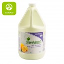 Détergent / savon à vaisselle  Écologo- citron - 4 L (1,06 gal) - Safeblend