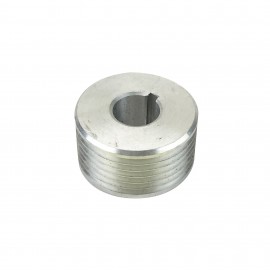 PETITE POULIE DU ROULEAU JVC65RBTN