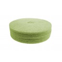Tampons pour polisseuse à plancher - pour récurer - 17" (43,1 cm) - vert - boîte de 5 - 66261054261